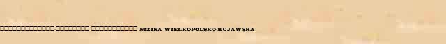 �������������-�������� ����������� (Nizina Wielkopolsko-Kujawska) ������ � ������� ����������������� ������ ������� 